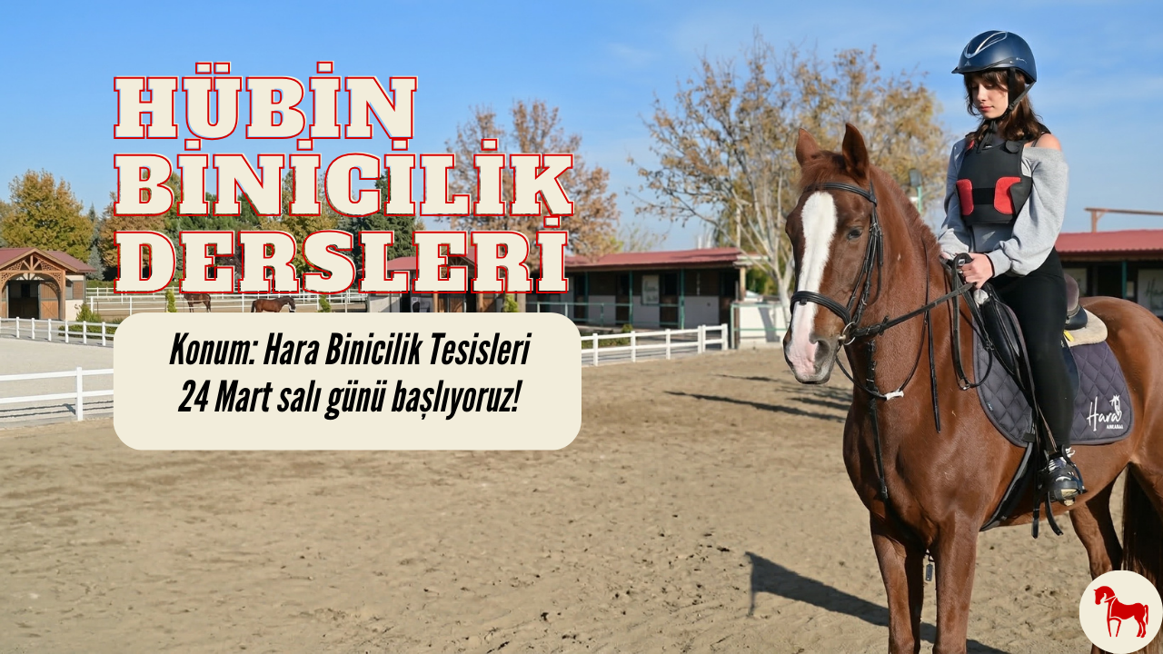 HÜBİN Binicilik Pratik Dersleri