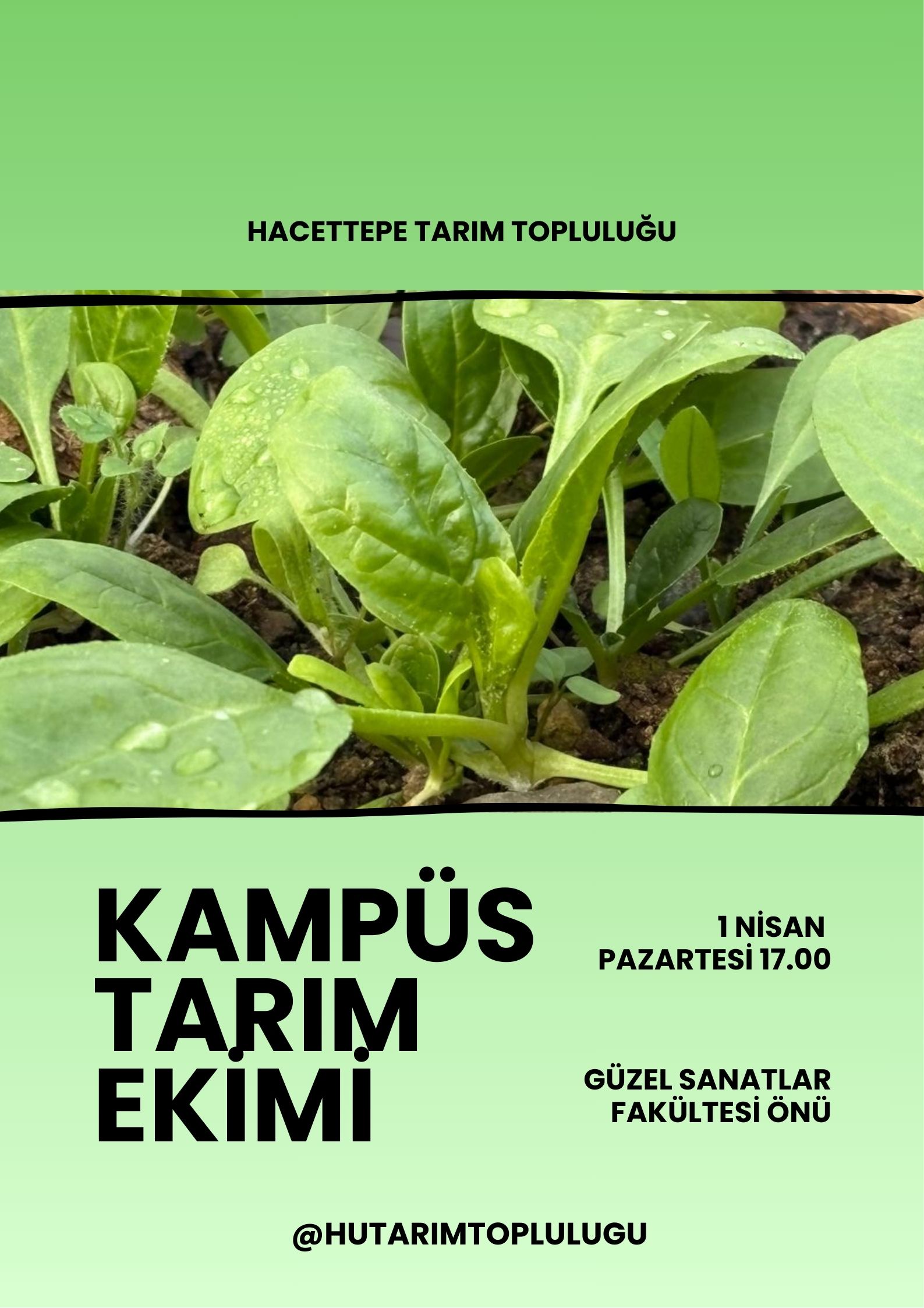 Kampüs Tarım Ekimi
