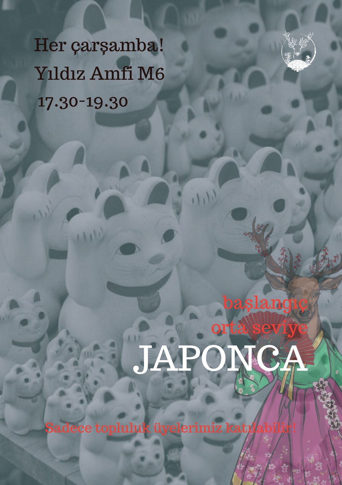 Japonca Dil Dersleri